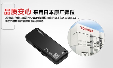 移动办公与设计新利器 东芝推出全新U365高速闪存盘，专为高效平面设计而生