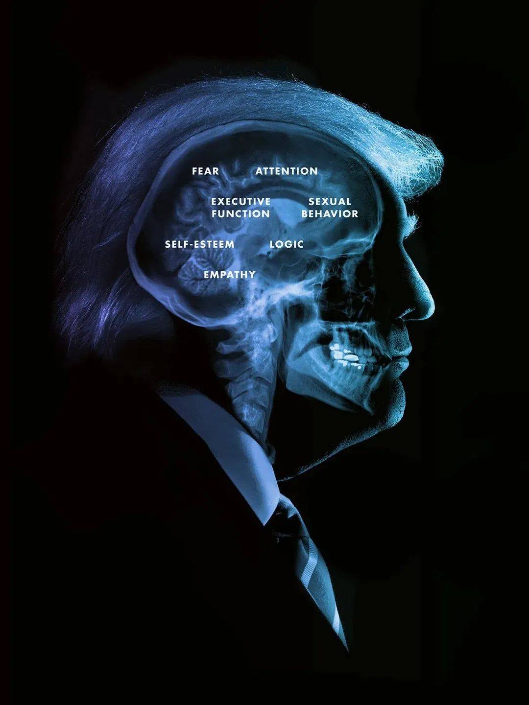 川普平面设计图鉴 一场视觉政治的符号解构